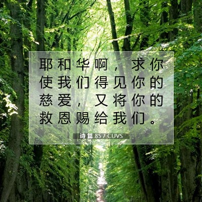 Picture 07 - 诗 篇 85:7 CUVS - 耶 和 华 啊 ， 求 你 使 我 们 得 见 - Bible Verse Picture