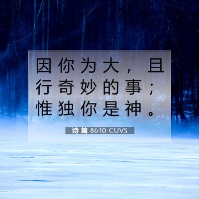 Picture 07 - 诗 篇 86:10 CUVS - 因 你 为 大 ， 且 行 奇 妙 的 事 ； - Bible Verse Picture