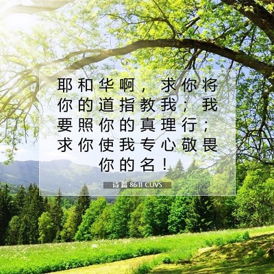 Picture 07 - 诗 篇 86:11 CUVS - 耶 和 华 啊 ， 求 你 将 你 的 道 指 - Bible Verse Picture