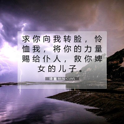 Picture 07 - 诗 篇 86:16 CUVS - 求 你 向 我 转 脸 ， 怜 恤 我 ， 将 - Bible Verse Picture