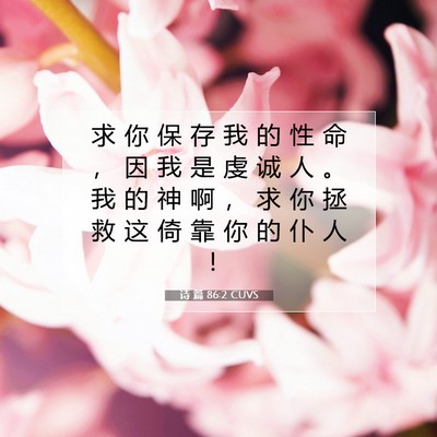 Picture 07 - 诗 篇 86:2 CUVS - 求 你 保 存 我 的 性 命 ， 因 我 是 - Bible Verse Picture
