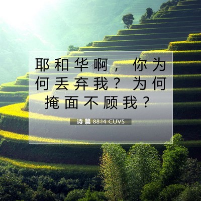 Picture 07 - 诗 篇 88:14 CUVS - 耶 和 华 啊 ， 你 为 何 丢 弃 我 ？ - Bible Verse Picture