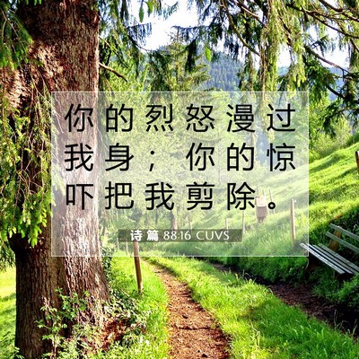 Picture 07 - 诗 篇 88:16 CUVS - 你 的 烈 怒 漫 过 我 身 ； 你 的 惊 - Bible Verse Picture