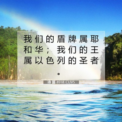 Picture 07 - 诗 篇 89:18 CUVS - 我 们 的 盾 牌 属 耶 和 华 ； 我 们 - Bible Verse Picture