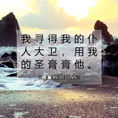 Picture 07 - 诗 篇 89:20 CUVS - 我 寻 得 我 的 仆 人 大 卫 ， 用 我 - Bible Verse Picture