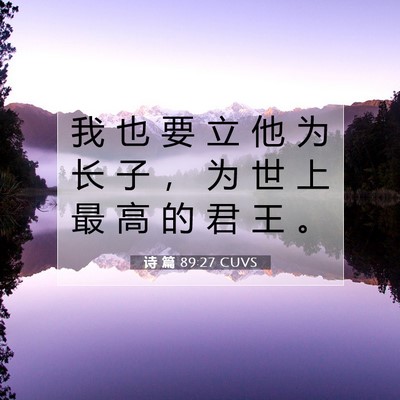 Picture 07 - 诗 篇 89:27 CUVS - 我 也 要 立 他 为 长 子 ， 为 世 上 - Bible Verse Picture
