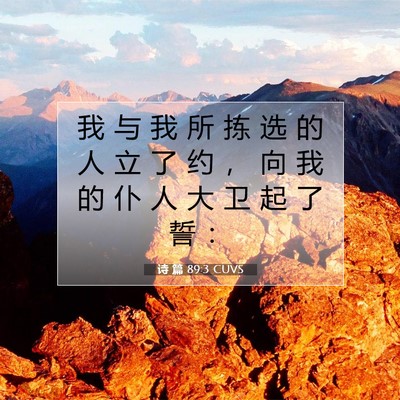 Picture 07 - 诗 篇 89:3 CUVS - 我 与 我 所 拣 选 的 人 立 了 约 ， - Bible Verse Picture
