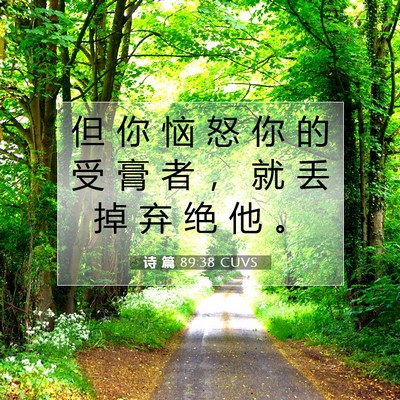 Picture 07 - 诗 篇 89:38 CUVS - 但 你 恼 怒 你 的 受 膏 者 ， 就 丢 - Bible Verse Picture