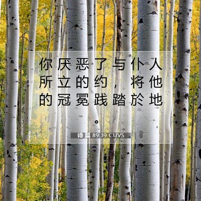 Picture 07 - 诗 篇 89:39 CUVS - 你 厌 恶 了 与 仆 人 所 立 的 约 ， - Bible Verse Picture
