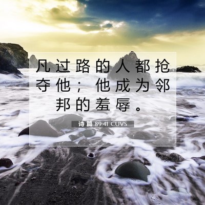 Picture 07 - 诗 篇 89:41 CUVS - 凡 过 路 的 人 都 抢 夺 他 ； 他 成 - Bible Verse Picture