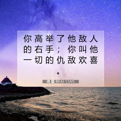 Picture 07 - 诗 篇 89:42 CUVS - 你 高 举 了 他 敌 人 的 右 手 ； 你 - Bible Verse Picture