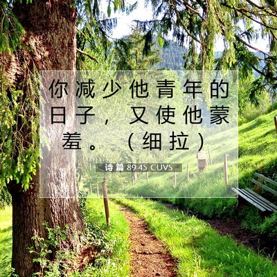 Picture 07 - 诗 篇 89:45 CUVS - 你 减 少 他 青 年 的 日 子 ， 又 使 - Bible Verse Picture