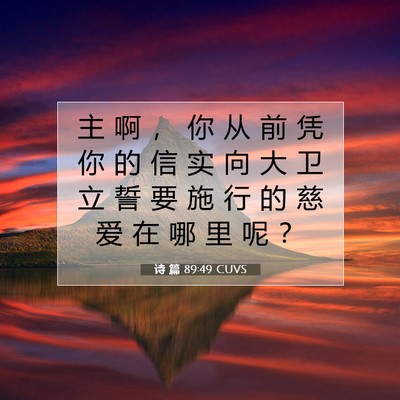 Picture 07 - 诗 篇 89:49 CUVS - 主 啊 ， 你 从 前 凭 你 的 信 实 向 - Bible Verse Picture