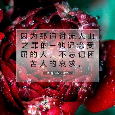 Picture 07 - 诗 篇 9:12 CUVS - 因 为 那 追 讨 流 人 血 之 罪 的 ─ - Bible Verse Picture