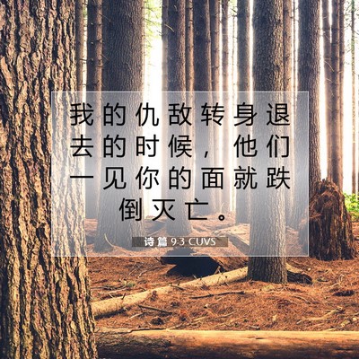 Picture 07 - 诗 篇 9:3 CUVS - 我 的 仇 敌 转 身 退 去 的 时 候 ， - Bible Verse Picture