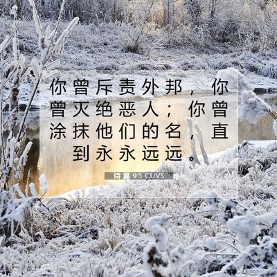 Picture 07 - 诗 篇 9:5 CUVS - 你 曾 斥 责 外 邦 ， 你 曾 灭 绝 恶 - Bible Verse Picture