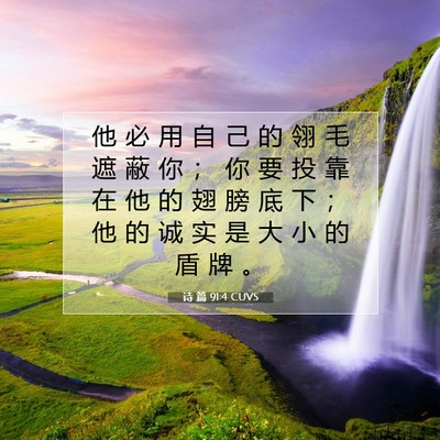 Picture 07 - 诗 篇 91:4 CUVS - 他 必 用 自 己 的 翎 毛 遮 蔽 你 ； - Bible Verse Picture