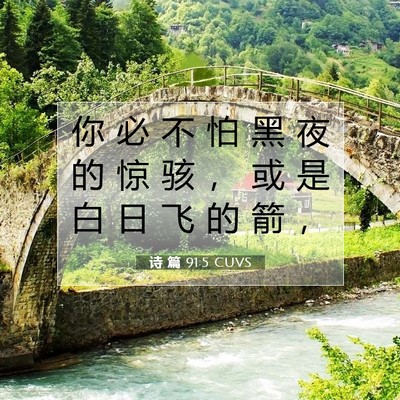 Picture 07 - 诗 篇 91:5 CUVS - 你 必 不 怕 黑 夜 的 惊 骇 ， 或 是 - Bible Verse Picture