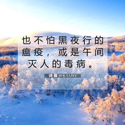 Picture 07 - 诗 篇 91:6 CUVS - 也 不 怕 黑 夜 行 的 瘟 疫 ， 或 是 - Bible Verse Picture