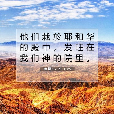 Picture 07 - 诗 篇 92:13 CUVS - 他 们 栽 於 耶 和 华 的 殿 中 ， 发 - Bible Verse Picture