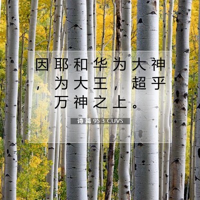 Picture 07 - 诗 篇 95:3 CUVS - 因 耶 和 华 为 大 神 ， 为 大 王 ， - Bible Verse Picture