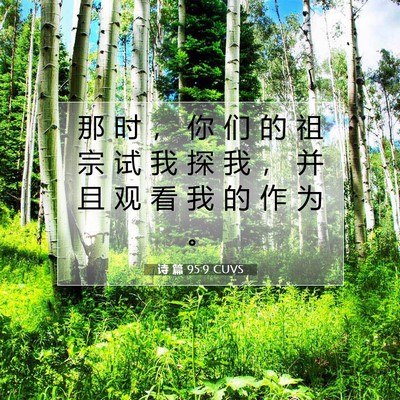 Picture 07 - 诗 篇 95:9 CUVS - 那 时 ， 你 们 的 祖 宗 试 我 探 我 - Bible Verse Picture