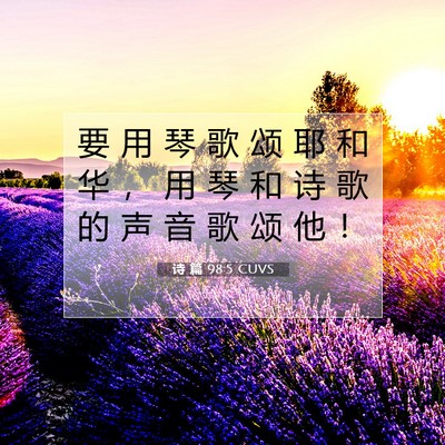 Picture 07 - 诗 篇 98:5 CUVS - 要 用 琴 歌 颂 耶 和 华 ， 用 琴 和 - Bible Verse Picture