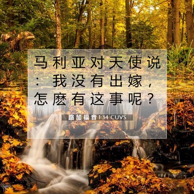 Picture 07 - 路 加 福 音 1:34 CUVS - 马 利 亚 对 天 使 说 ： 我 没 有 出 - Bible Verse Picture
