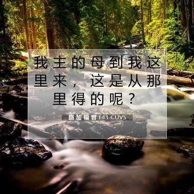 Picture 07 - 路 加 福 音 1:43 CUVS - 我 主 的 母 到 我 这 里 来 ， 这 是 - Bible Verse Picture