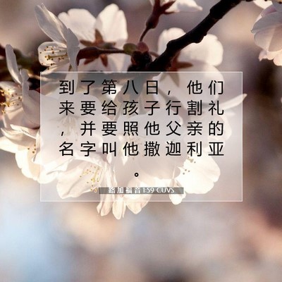 Picture 07 - 路 加 福 音 1:59 CUVS - 到 了 第 八 日 ， 他 们 来 要 给 孩 - Bible Verse Picture