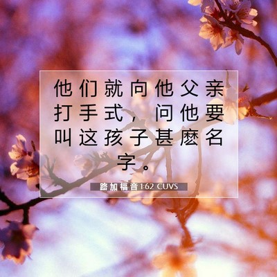 Picture 07 - 路 加 福 音 1:62 CUVS - 他 们 就 向 他 父 亲 打 手 式 ， 问 - Bible Verse Picture