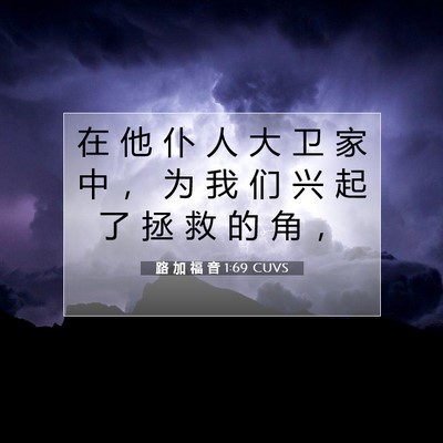 Picture 07 - 路 加 福 音 1:69 CUVS - 在 他 仆 人 大 卫 家 中 ， 为 我 们 - Bible Verse Picture