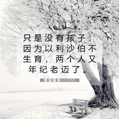 Picture 07 - 路 加 福 音 1:7 CUVS - 只 是 没 有 孩 子 ； 因 为 以 利 沙 - Bible Verse Picture