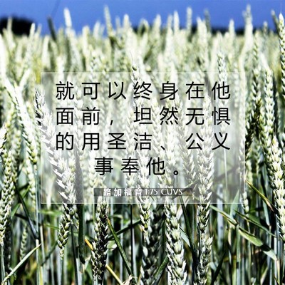Picture 07 - 路 加 福 音 1:75 CUVS - 就 可 以 终 身 在 他 面 前 ， 坦 然 - Bible Verse Picture