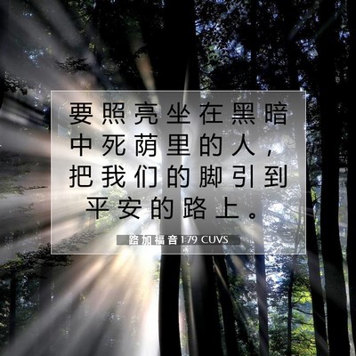Picture 07 - 路 加 福 音 1:79 CUVS - 要 照 亮 坐 在 黑 暗 中 死 荫 里 的 - Bible Verse Picture