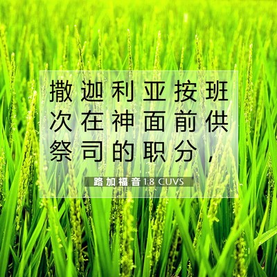 Picture 07 - 路 加 福 音 1:8 CUVS - 撒 迦 利 亚 按 班 次 在 神 面 前 供 - Bible Verse Picture