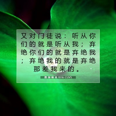 Picture 07 - 路 加 福 音 10:16 CUVS - 又 对 门 徒 说 ： 听 从 你 们 的 就 - Bible Verse Picture