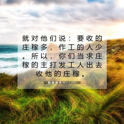Picture 07 - 路 加 福 音 10:2 CUVS - 就 对 他 们 说 ： 要 收 的 庄 稼 多 - Bible Verse Picture