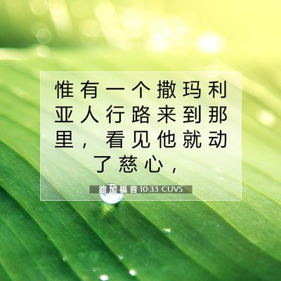 Picture 07 - 路 加 福 音 10:33 CUVS - 惟 有 一 个 撒 玛 利 亚 人 行 路 来 - Bible Verse Picture