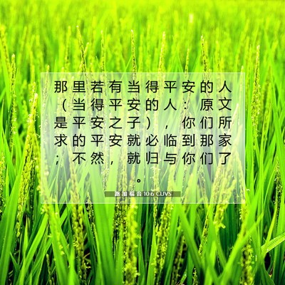 Picture 07 - 路 加 福 音 10:6 CUVS - 那 里 若 有 当 得 平 安 的 人 （ 当 - Bible Verse Picture