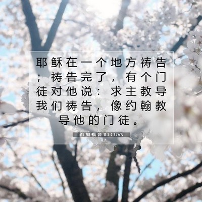 Picture 07 - 路 加 福 音 11:1 CUVS - 耶 稣 在 一 个 地 方 祷 告 ； 祷 告 - Bible Verse Picture