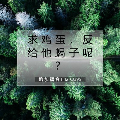 Picture 07 - 路 加 福 音 11:12 CUVS - 求 鸡 蛋 ， 反 给 他 蝎 子 呢 - Bible Verse Picture