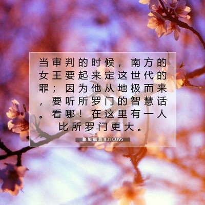 Picture 07 - 路 加 福 音 11:31 CUVS - 当 审 判 的 时 候 ， 南 方 的 女 王 - Bible Verse Picture