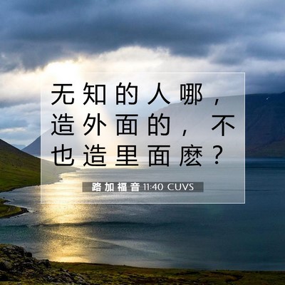Picture 07 - 路 加 福 音 11:40 CUVS - 无 知 的 人 哪 ， 造 外 面 的 ， 不 - Bible Verse Picture