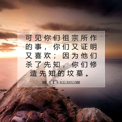 Picture 07 - 路 加 福 音 11:48 CUVS - 可 见 你 们 祖 宗 所 作 的 事 ， 你 - Bible Verse Picture