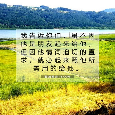 Picture 07 - 路 加 福 音 11:8 CUVS - 我 告 诉 你 们 ， 虽 不 因 他 是 朋 - Bible Verse Picture