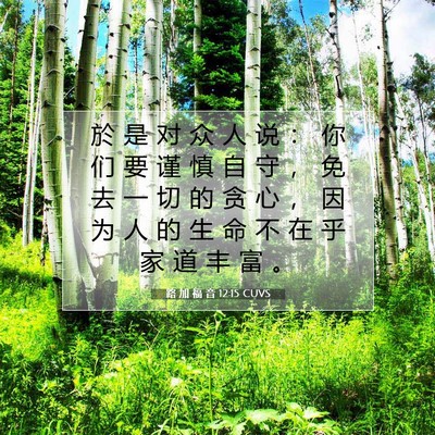 Picture 07 - 路 加 福 音 12:15 CUVS - 於 是 对 众 人 说 ： 你 们 要 谨 慎 - Bible Verse Picture
