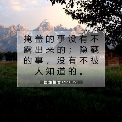 Picture 07 - 路 加 福 音 12:2 CUVS - 掩 盖 的 事 没 有 不 露 出 来 的 ； - Bible Verse Picture