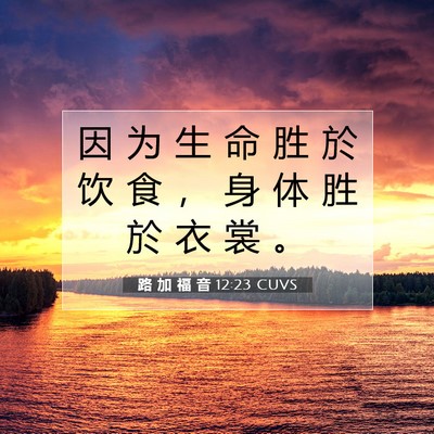 Picture 07 - 路 加 福 音 12:23 CUVS - 因 为 生 命 胜 於 饮 食 ， 身 体 胜 - Bible Verse Picture