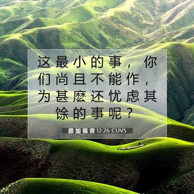 Picture 07 - 路 加 福 音 12:26 CUVS - 这 最 小 的 事 ， 你 们 尚 且 不 能 - Bible Verse Picture